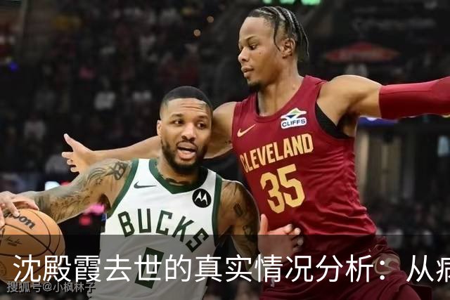 沈殿霞去世的真实情况分析：从病痛到公众误解